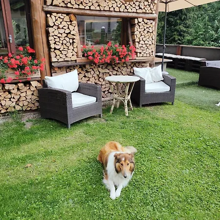 Casa vacanze Ai Ciar - Costa Volpino